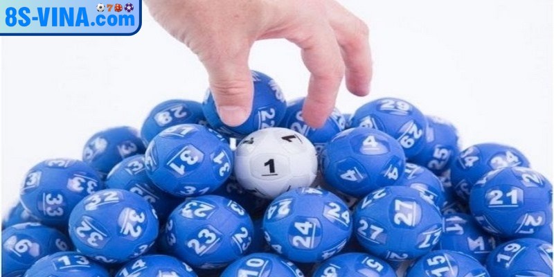 Các lưu ý khi thực hiện nuôi khung bạch thủ lô 